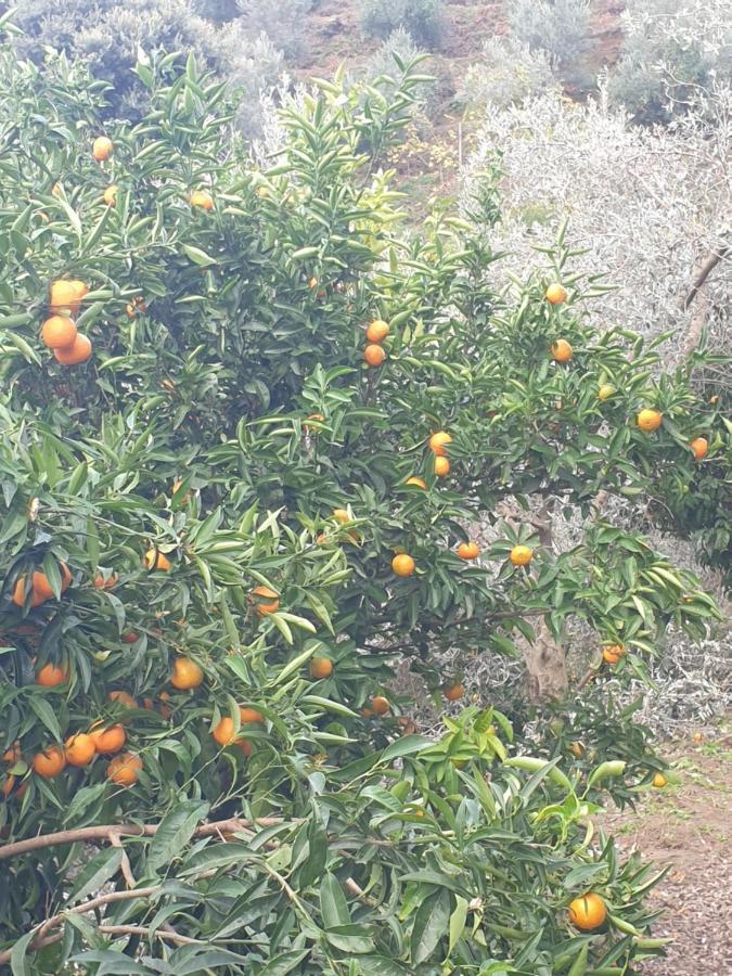 Rosemary House Guest House Sarande Bagian luar foto