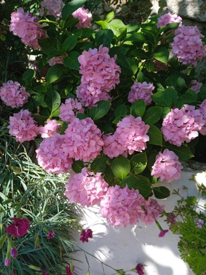 Rosemary House Guest House Sarande Bagian luar foto